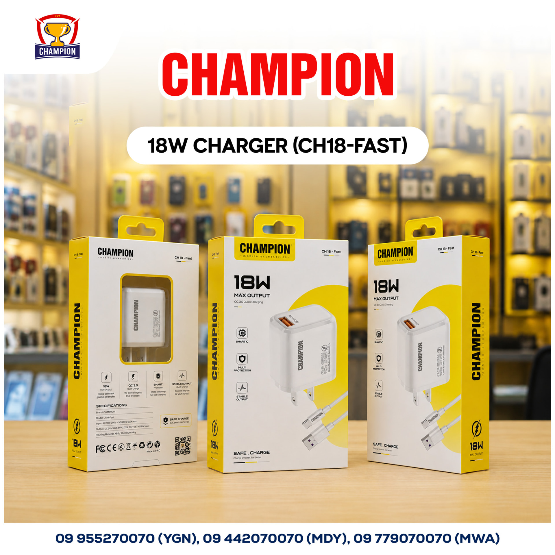 CHAMPION 18W Charger (CH18-Fast)