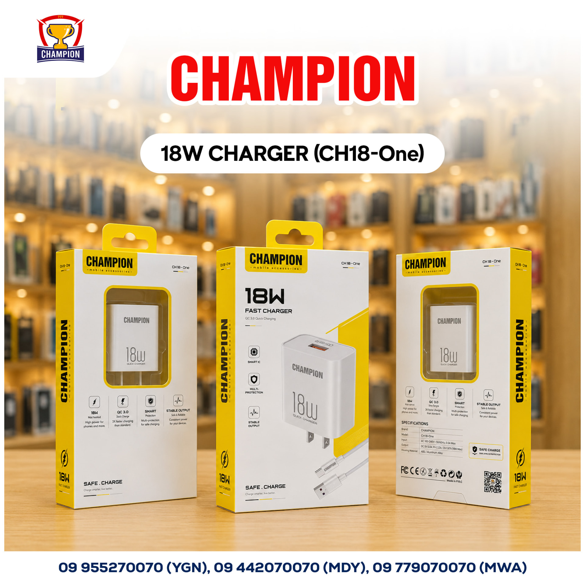 CHAMPION 18W Charger (CH18-One)