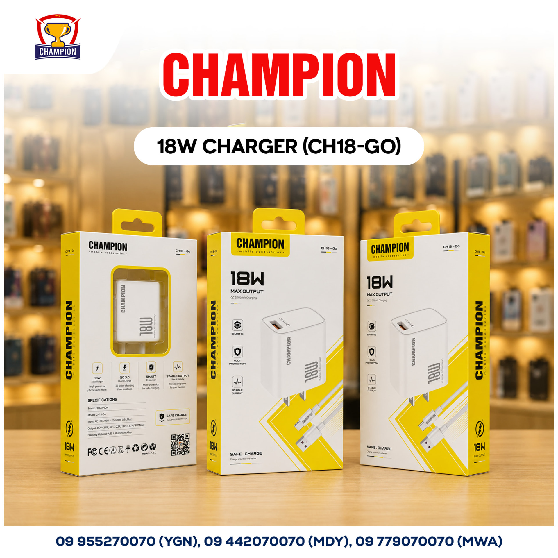 CHAMPION 18W Charger (CH18-GO)
