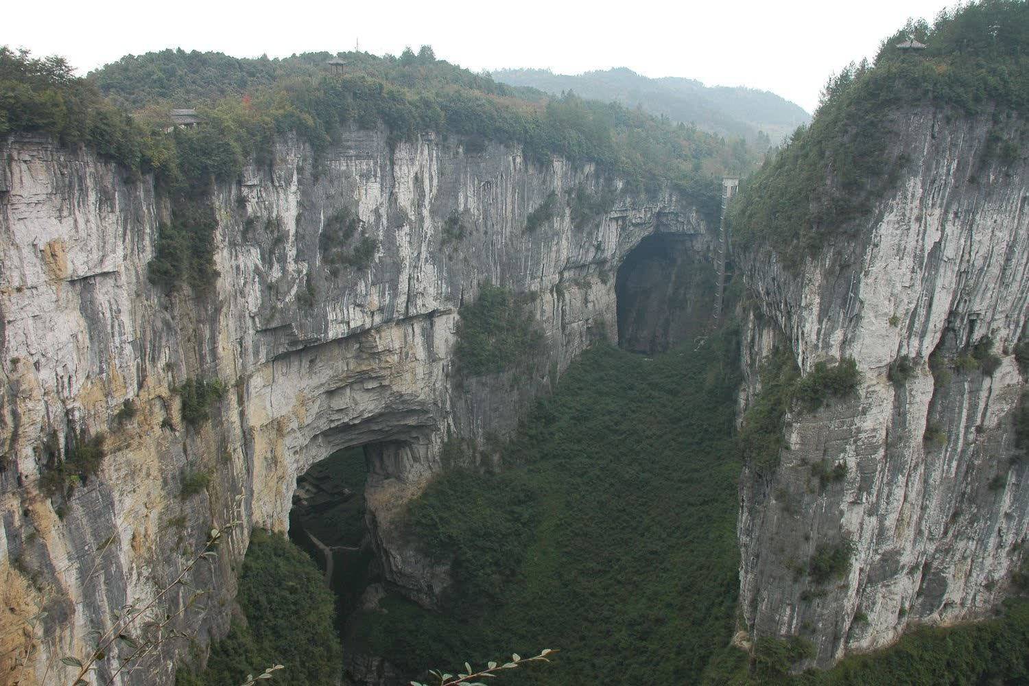 Wulong